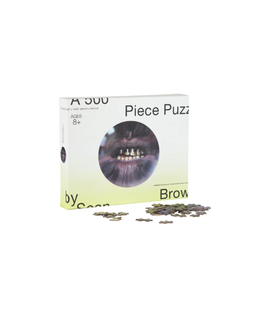 Goodies Trick 500 Piece Fisheye Puzzle | Curves Comparez et commandez 