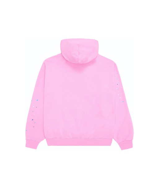 Hoodie SPIDER Websuit Pink Comparez et commandez 