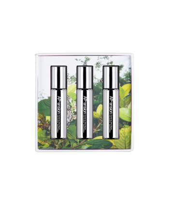 Ascension Fragrance Oil CURVES (Set of 3) À commander