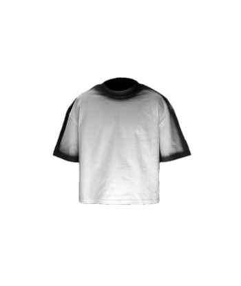 Gradient T-Shirt (     )at acheter