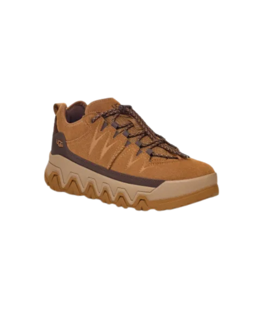 UGG Basket CapTrail Low Chestnut Amélioration de cerveau avec