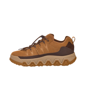 UGG Basket CapTrail Low Chestnut Amélioration de cerveau avec