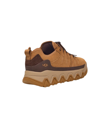 UGG Basket CapTrail Low Chestnut Amélioration de cerveau avec