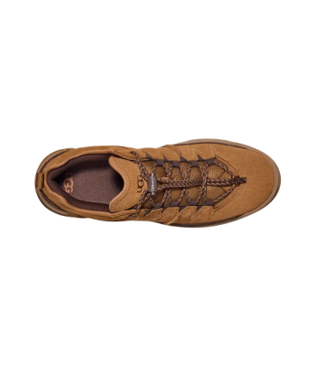 UGG Basket CapTrail Low Chestnut Amélioration de cerveau avec