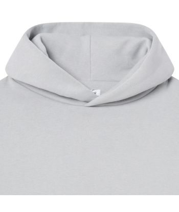 Armor Hoodie PERPLEX Stone Grey online